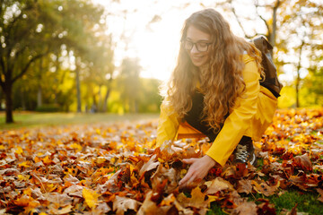 Close-up of a woman's hands of a tourist in a bright coat collecting fallen yellow leaves. Beautiful woman having fun in autumn park at sunset. Concept of fun, vacation, weekend.