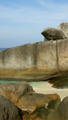 Wall Mural - Paradise beach between rocks on Similan islands, Thailand. Vertical video