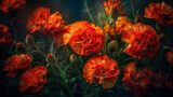 Fototapeta Do przedpokoju - Flowering yellow and orange marigolds close-up.