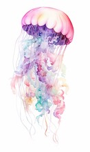 Colorful Jellyfish On An Isolated White Background, Watercolor Illustration, Hand Drawing