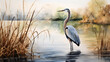 great heron in the marsh watercolor