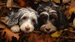 Two dogs lying in leaves. Pembroke welsh corgi puppy with german shepherd dog in autumn. ai