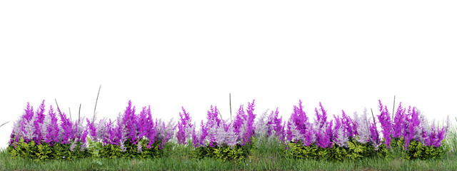 Wall Mural - Field of flowers and grass cut out on transparent background 3d rendering png