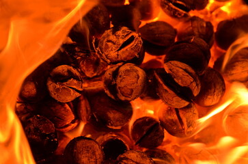 Poster - The bright orange background consists of burning walnuts.