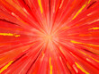 背景素材 手書き風の注目背景 ドット 斜線 閃光 輝き 爆発 ペンキ 絵の具 赤色 炎