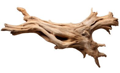 Wall Mural - driftwood isolated on transparent background
