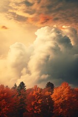 Wall Mural - autumn fall season