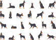 Doberman pinscher icons set cartoon vector. Angry animal. Head canine
