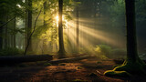 Fototapeta Las - forest scene with rays of sunlight breaking through the canopy, AI Generative.