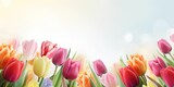 Fototapeta Tulipany - Abstract floral background with colorful flower