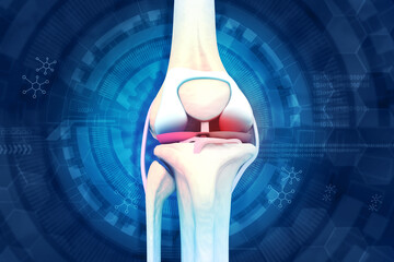 Wall Mural - Human knee joint anatomy, knee pain concept. 3d illustration.