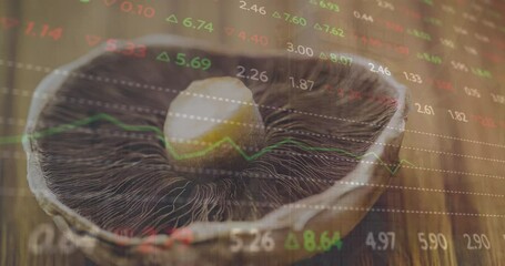 Poster - Animation of multicolored trading board over abstract background