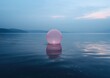 Una esfera transparente en el mar