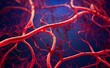 Complex network of blood vessels.