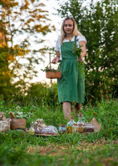 Wall Mural - The woman collects medicinal herbs. Selective focus.