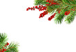 Green Christmas pine twigs and red berries of winterberry Holly in a corner arrangements isolated on white or transparent background