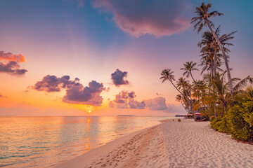 Wall Mural - best island beach. silhouette palm trees panoramic destination landscape. inspire sea sand popular v