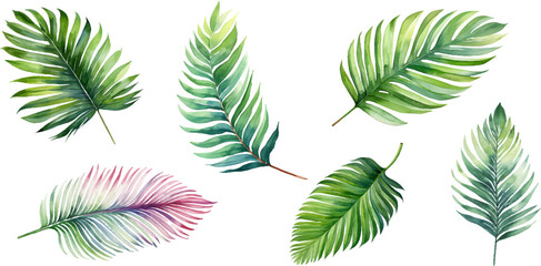 Wall Mural - Set of watercolor palm leaves on transparent background