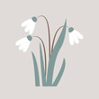 The first snowdrops plant isolated on white background. Cartoon vector illustration.