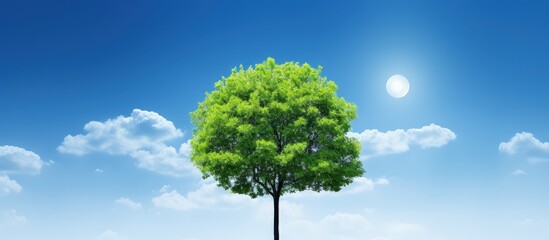 Poster - Green tree lamp with an ecological concept under a blue sky