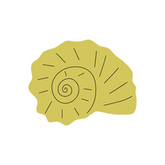 Wall Mural - Tropical underwater seashell. Hand drawn sea mollusk shellfish element. Vector illustration in scandinavian style.