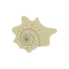 Wall Mural - Tropical underwater seashell. Hand drawn sea mollusk shellfish element. Vector illustration in scandinavian style.
