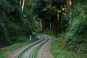 Wall Mural - train track in alishan national park in taiwan