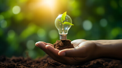 Wall Mural - Hand holding light bulb against nature on green leaf with energy sources, Sustainable developmen and responsible environmental, Energy sources for renewable, Ecology concept.