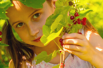 Vitamins, healthy food, happy childhood concept. Photo of a beautiful girl near a red currant bush.