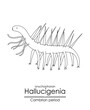 Hallucigenia, a Cambrian period creature, black and white line art illustration. Ideal for both coloring and educational purposes