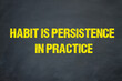 habit is persistence in practice	