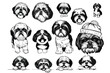 Shih Tzu Bundle: Vector Illustrations Celebrating the Elegance and Cuteness of Shih Tzu Dogs