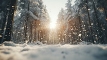Low Angle Winter Forest Landscape Blurry Background With Snow Trees And Snowfall