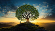 A man stands next to a large tree. The sun rises in the background. ECO concept