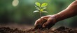 Engaging in CSR through tree planting by businesses