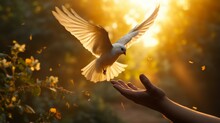 Dove As A Symbol Of Peace. Love And Hope Concept. Background With Selective Focus And Copy Space