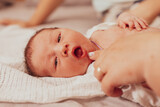 Fototapeta Kwiaty - The examination of newborn baby mouth, frenulum of the tongue