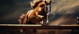 Equestrian maneuver horse clearing obstacles