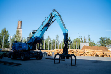 Wall Mural - Woodworking industry. Preparation and processing of wooden logs