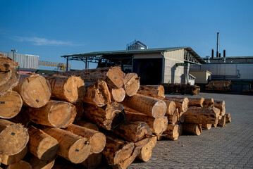 Wall Mural - Woodworking industry. Preparation and processing of wooden logs