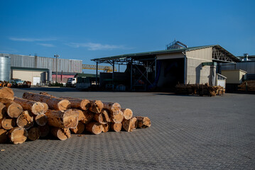 Wall Mural - Woodworking industry. Preparation and processing of wooden logs