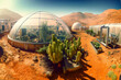 Growing vegetables on a colony on Mars (Generative AI)