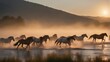 A wild herd of natural horses crossing the river, golden hour.