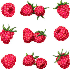 Sticker - Raspberry icons set cartoon vector. Sweet food. Fruit jam