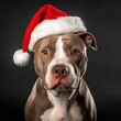 © Amir - Dog wearing christmas hat, christmas dog celebration, pitbull with christmas hat illustration, Merry Christmas, Generative Ai