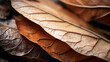 macro fotografía de texturas de tres hojas de árbol de diferentes colores en otoño apiladas en vertical. Composición de otoño para portada, libro, poster, fondo.