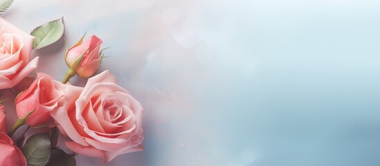 Aufkleber - Valentines Day bouquet featuring roses against a isolated pastel background Copy space with a soft focus