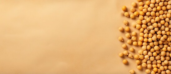 Aufkleber - Varieties of chickpeas pictured on a isolated pastel background Copy space