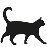 Fototapeta Koty - Cat silhouette