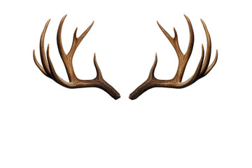 reindeer horns, deer antlers isolated on white transparent background, png. christmas decoration